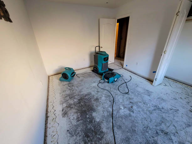 Water damage restoration insurance claims in Woodlands, CA