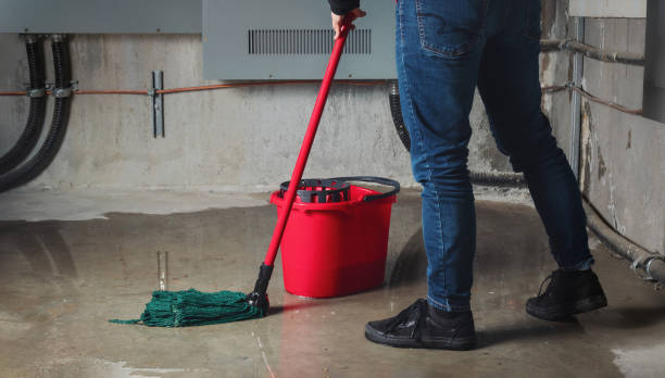 Best Ceiling water damage repair  in Woodlands, CA