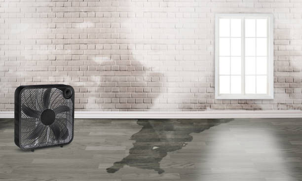 Trusted Woodlands, CA Water damage restoration Experts
