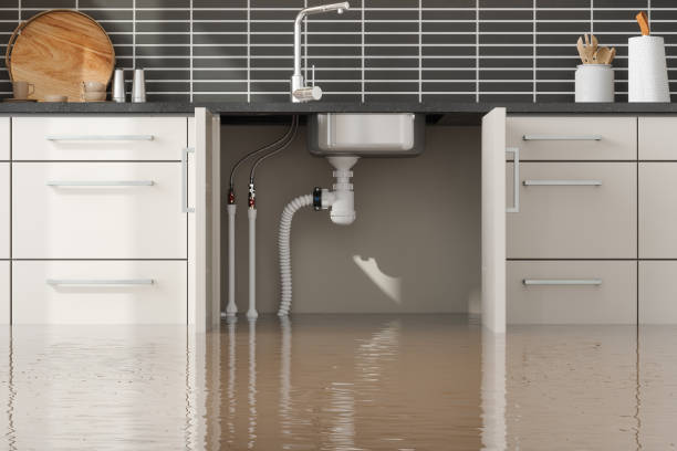 Best Water damage mitigation services  in Woodlands, CA
