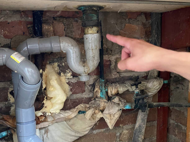 Best Water damage contractors near me  in Woodlands, CA