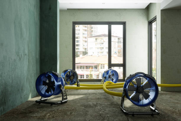 Best Water damage restoration near me  in Woodlands, CA