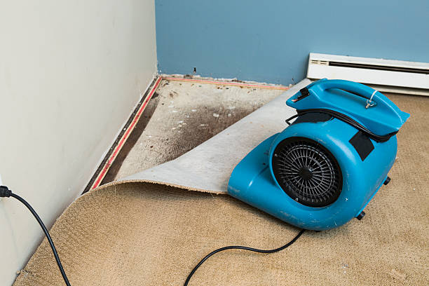 Best Flood restoration services  in Woodlands, CA